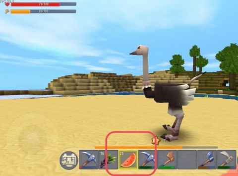 迷你世界怎么驯鸵鸟