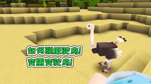 迷你世界怎么驯鸵鸟[图2]