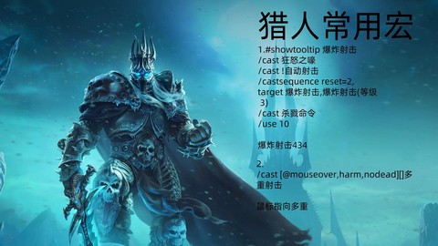 魔兽世界猎人什么种族好