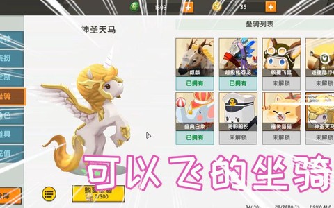 迷你世界坐骑怎么飞[图2]