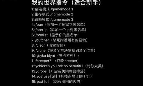 我的世界指令怎么输入