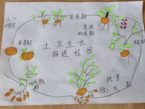 我的世界土豆怎么种[图1]