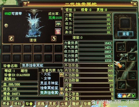 天龙八部怎么宝宝资质[图2]