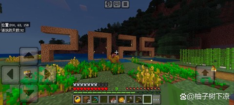 电脑版我的世界怎么联机[图1]