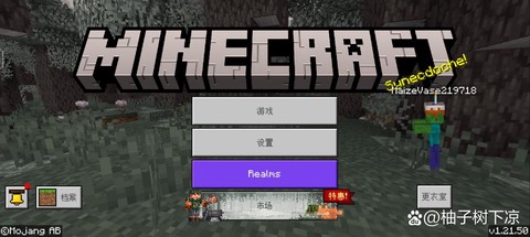 为什么下不了我的世界