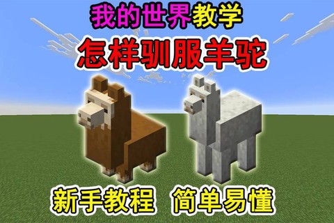 我的世界羊驼怎么控制[图1]