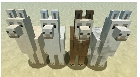 我的世界羊驼怎么控制[图2]