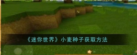 迷你世界小麦怎么收割[图1]